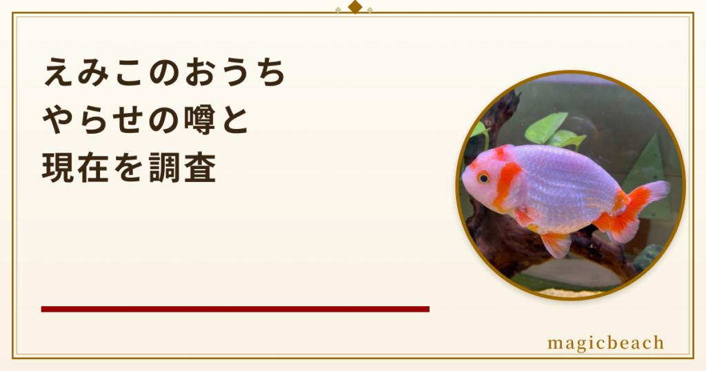 えみこのおうちはやらせ？好き嫌いが分かれる理由と現在を調査！のアイキャッチ画像