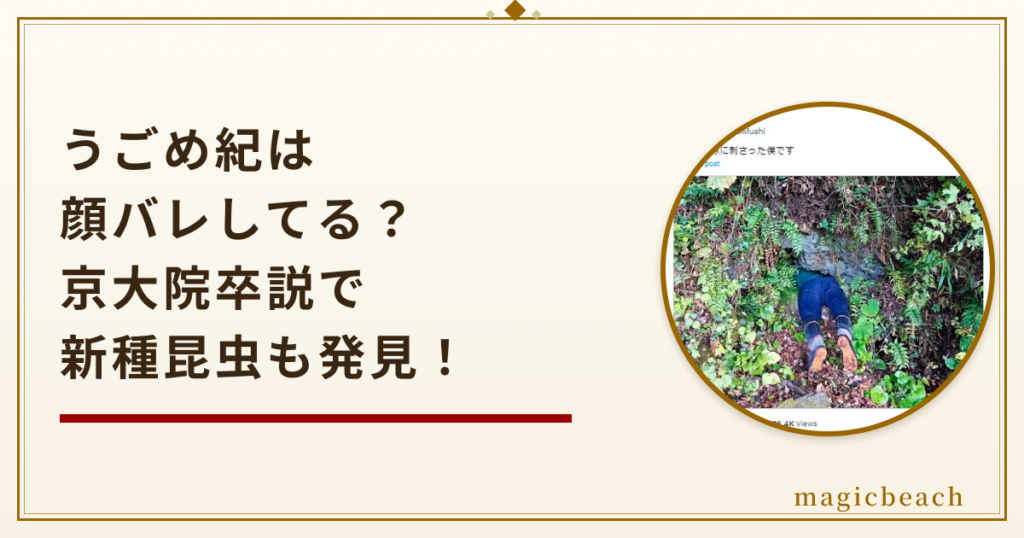 うごめ紀は顔バレしてる？学歴は京大院卒説で新種の昆虫も発見していた！のアイキャッチ画像